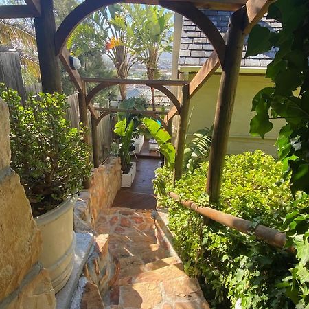 African Violet Guest Suites Noordhoek Ngoại thất bức ảnh