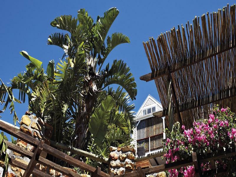 African Violet Guest Suites Noordhoek Ngoại thất bức ảnh