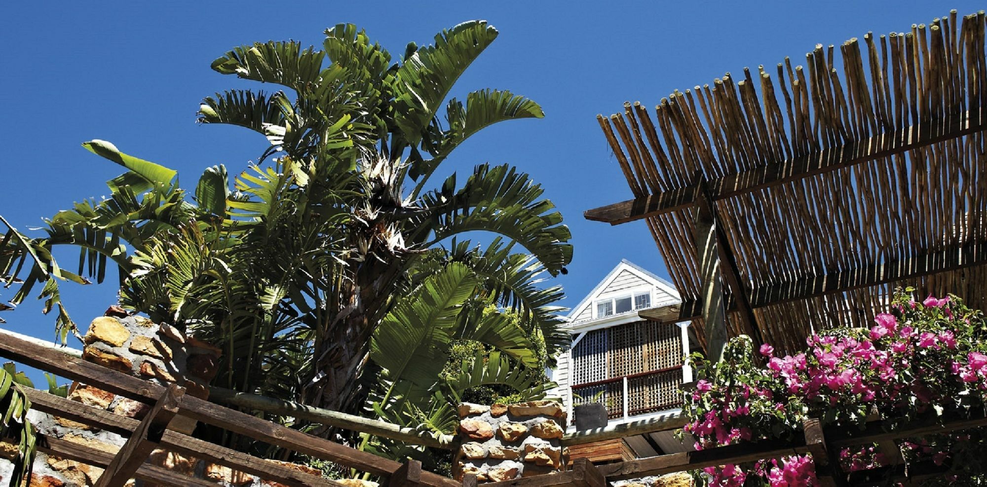 African Violet Guest Suites Noordhoek Ngoại thất bức ảnh