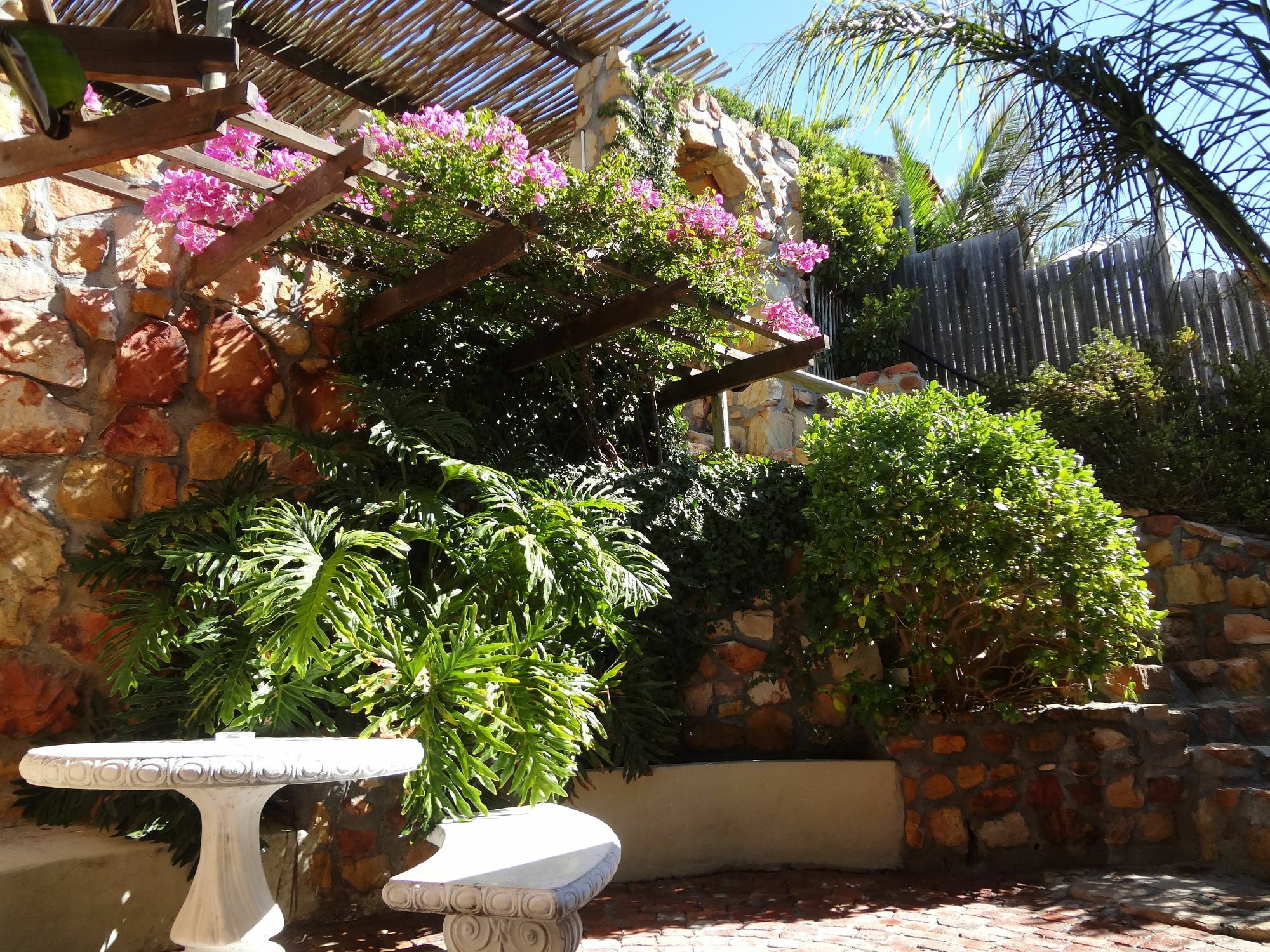 African Violet Guest Suites Noordhoek Ngoại thất bức ảnh