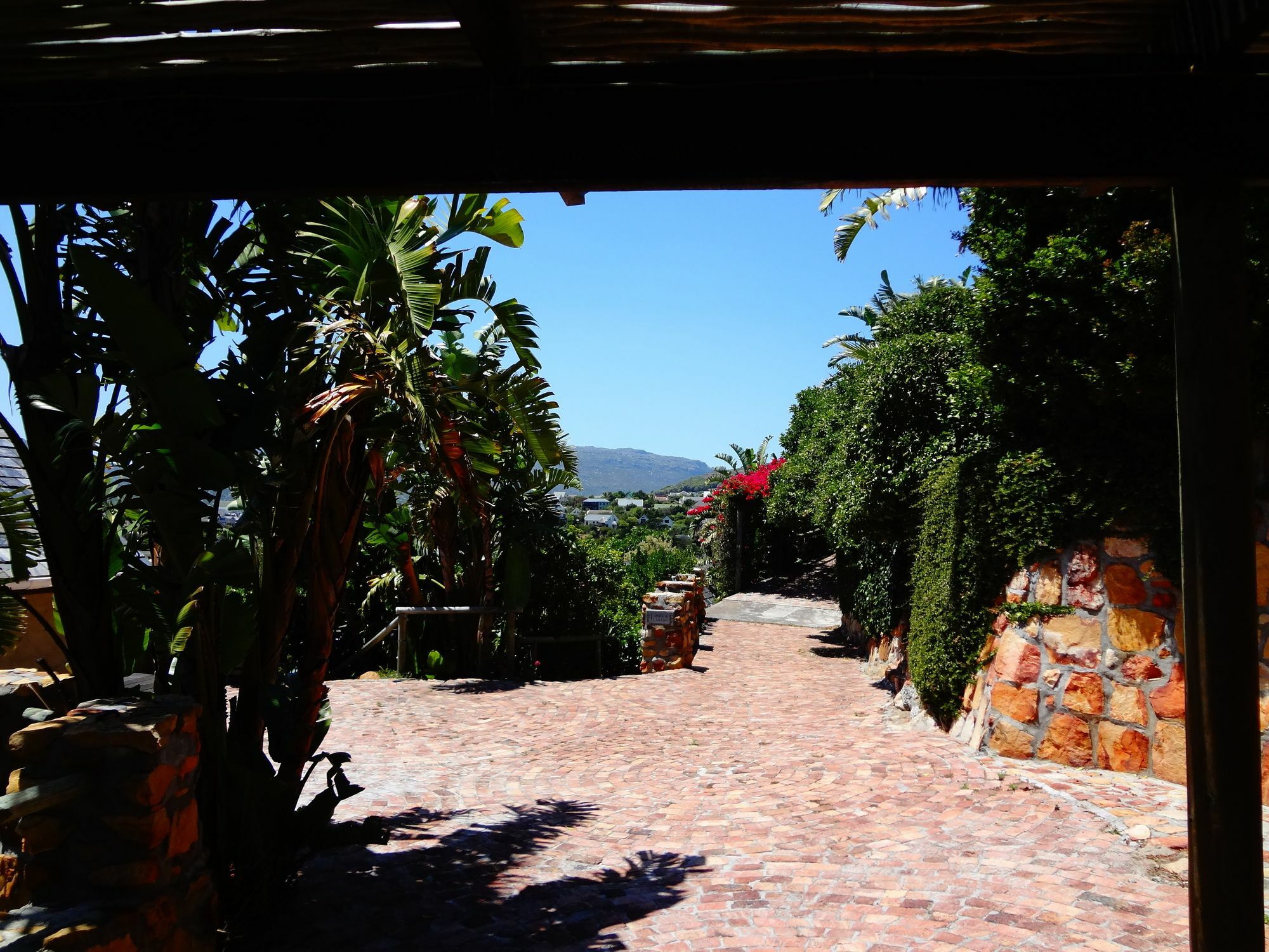 African Violet Guest Suites Noordhoek Ngoại thất bức ảnh