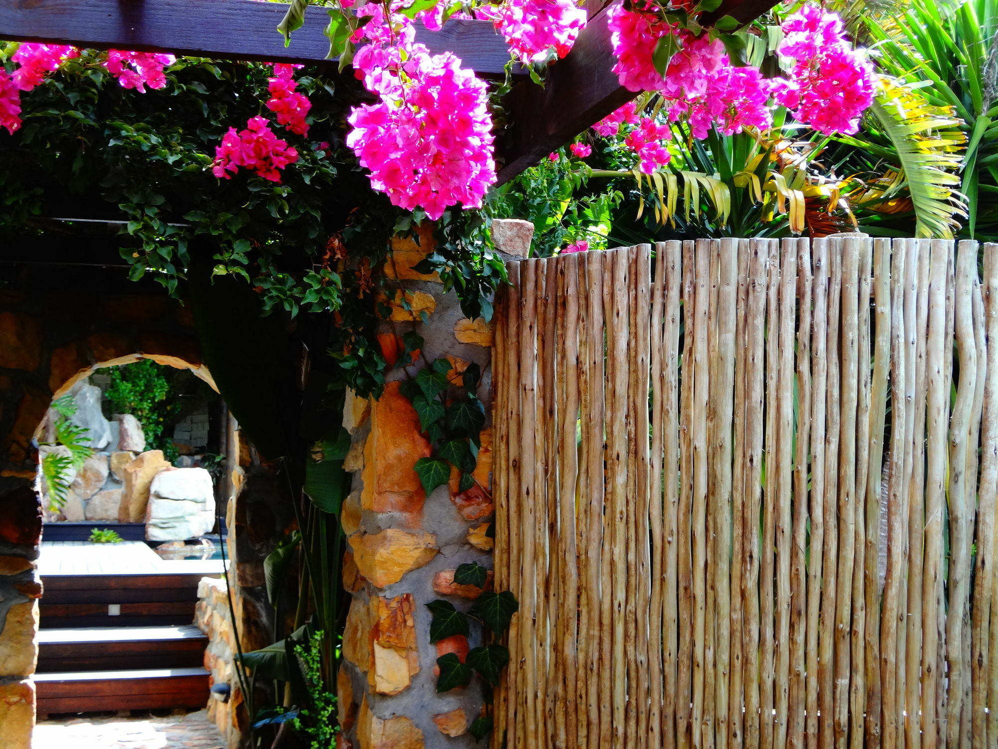 African Violet Guest Suites Noordhoek Ngoại thất bức ảnh